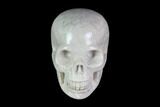 Realistic, Polished Fossil Coral Skull #116573-1
